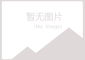 大新县执着化学有限公司